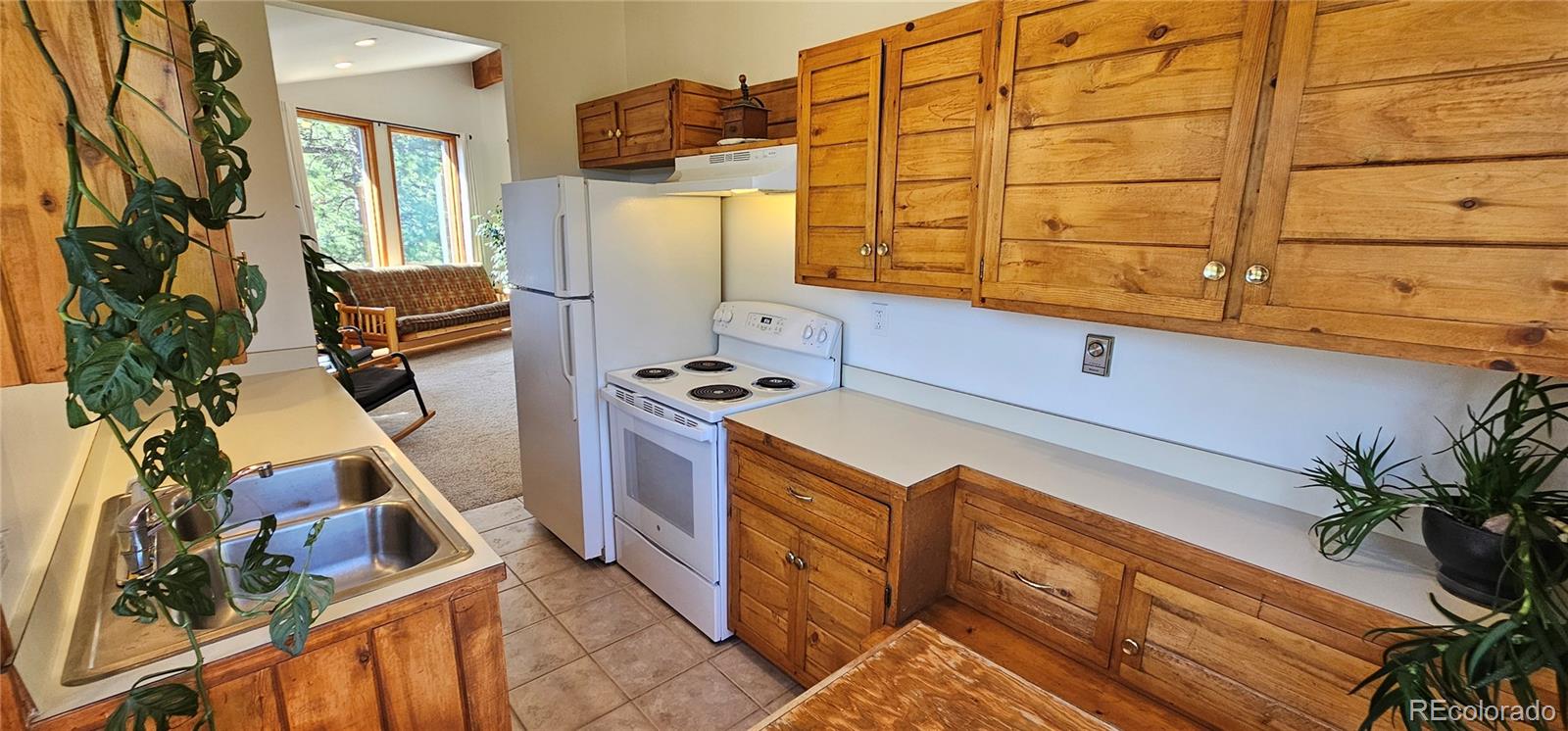 27901 Pine Drive Evergreen CO 80439