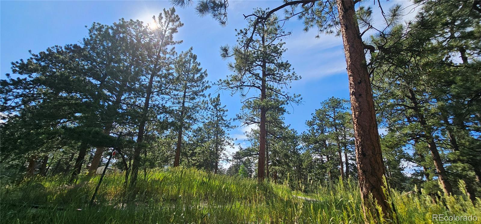 27901 Pine Drive Evergreen CO 80439