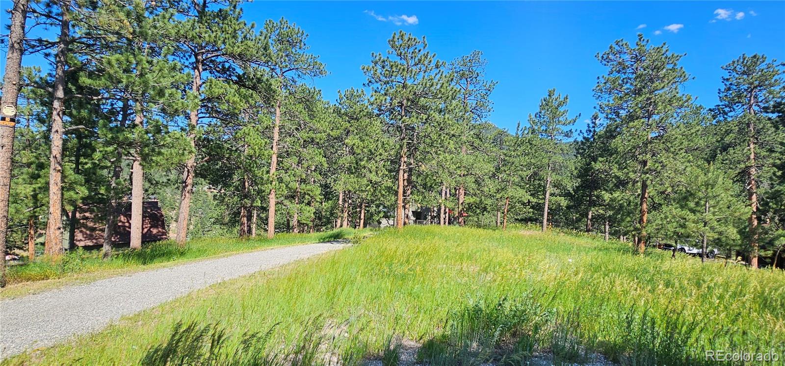 27901 Pine Drive Evergreen CO 80439