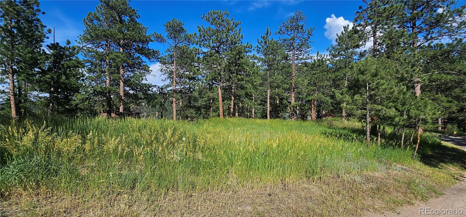 27901 Pine Drive Evergreen CO 80439