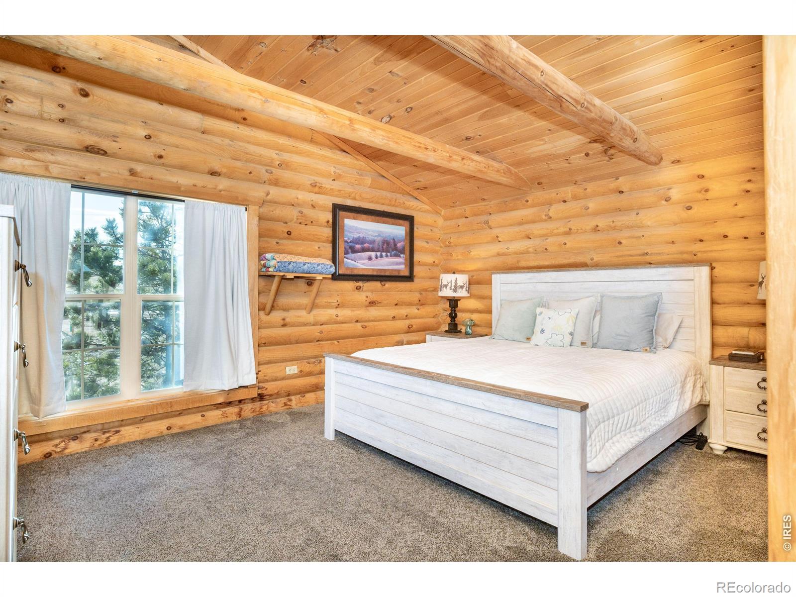 120 N Cucharas Mountain Court Livermore CO 80536