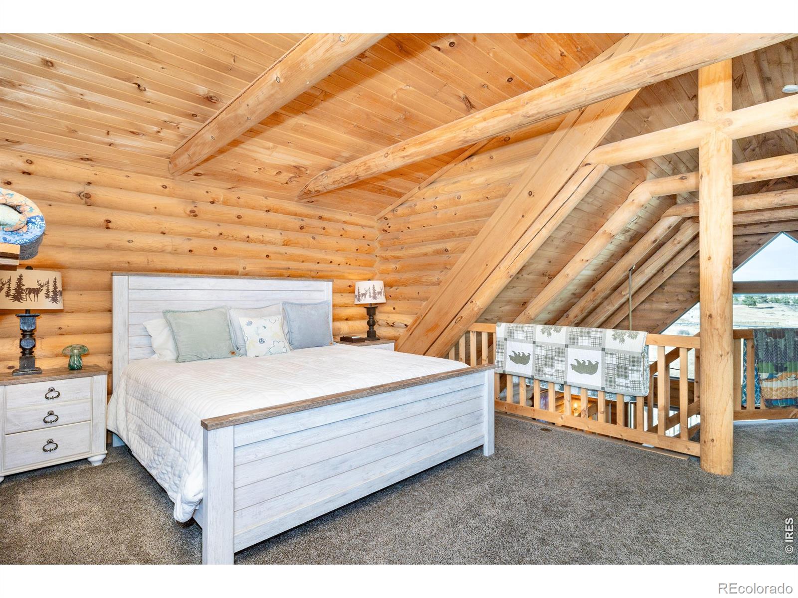 120 N Cucharas Mountain Court Livermore CO 80536