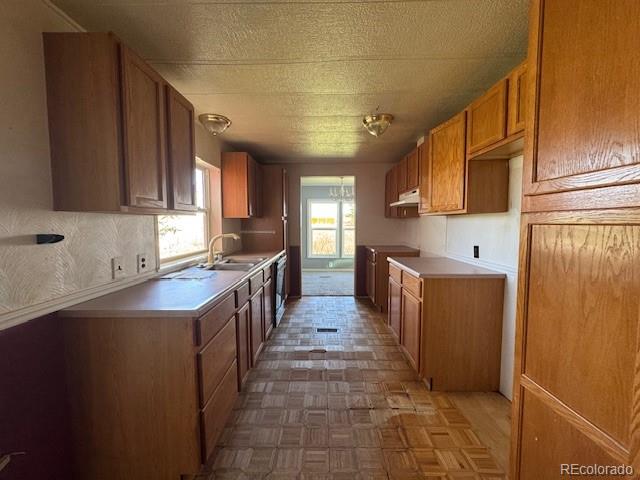 7961 County Road 2a Rush CO 80833