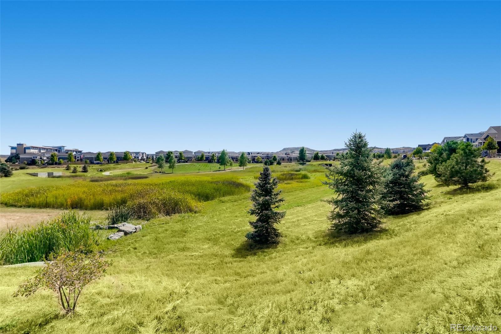 4974 N Wildflowers Way Castle Rock CO 80109
