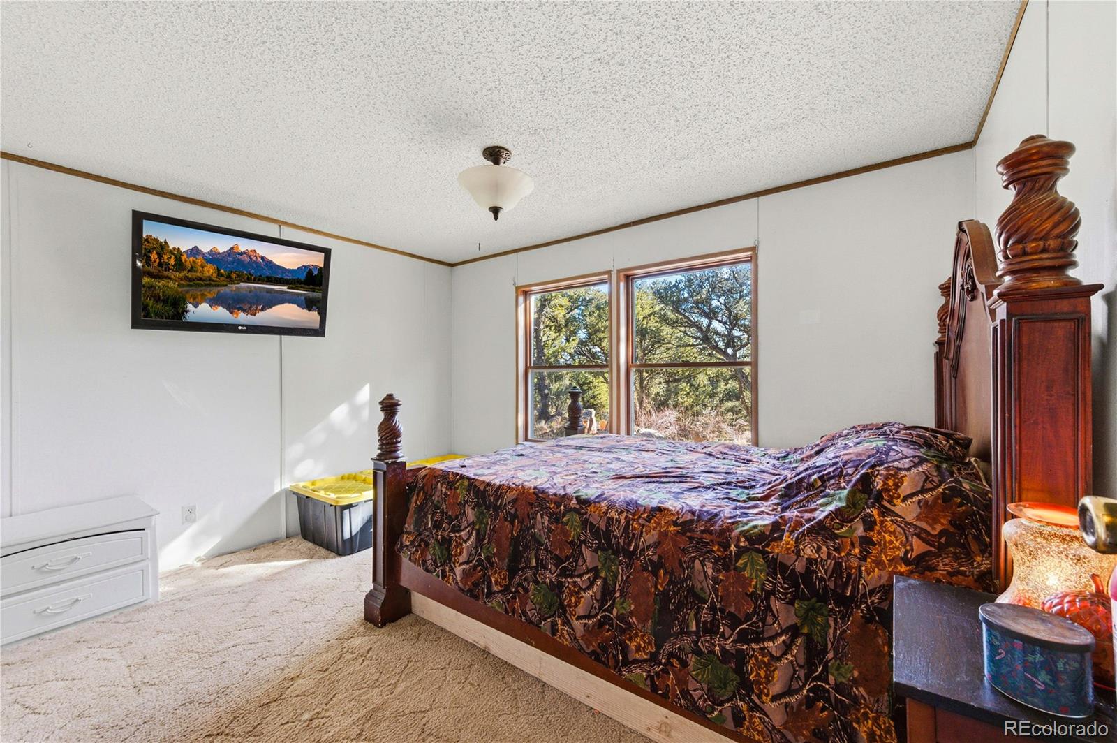 627 Harmon Drive Cotopaxi CO 81223
