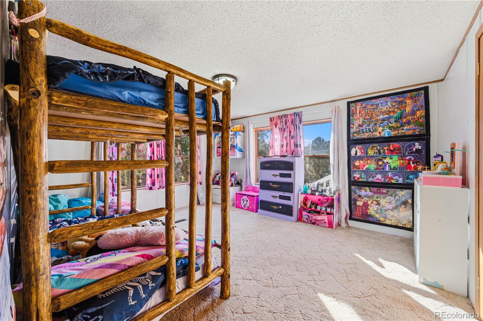 627 Harmon Drive Cotopaxi CO 81223