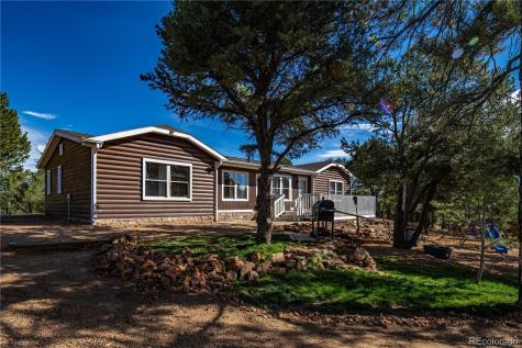 627 Harmon Drive Cotopaxi CO 81223