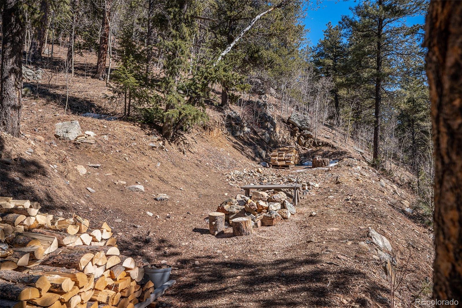 7992 County Road 43 Bailey CO 80421