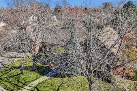 4 Spyglass Drive Littleton CO 80123