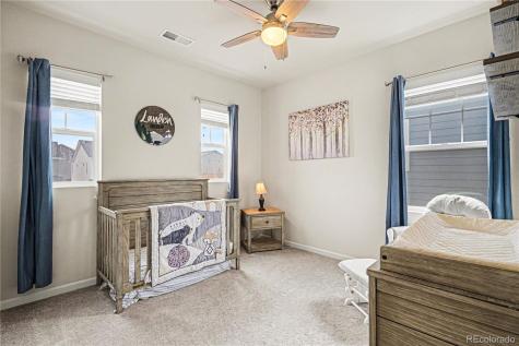 1172 Basalt Ridge Loop Castle Rock CO 80108