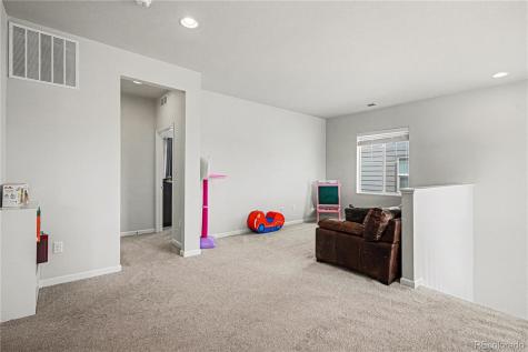 1172 Basalt Ridge Loop Castle Rock CO 80108