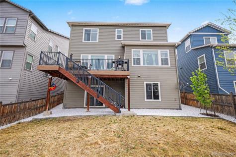 1172 Basalt Ridge Loop Castle Rock CO 80108