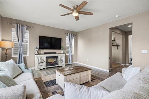 1172 Basalt Ridge Loop Castle Rock CO 80108
