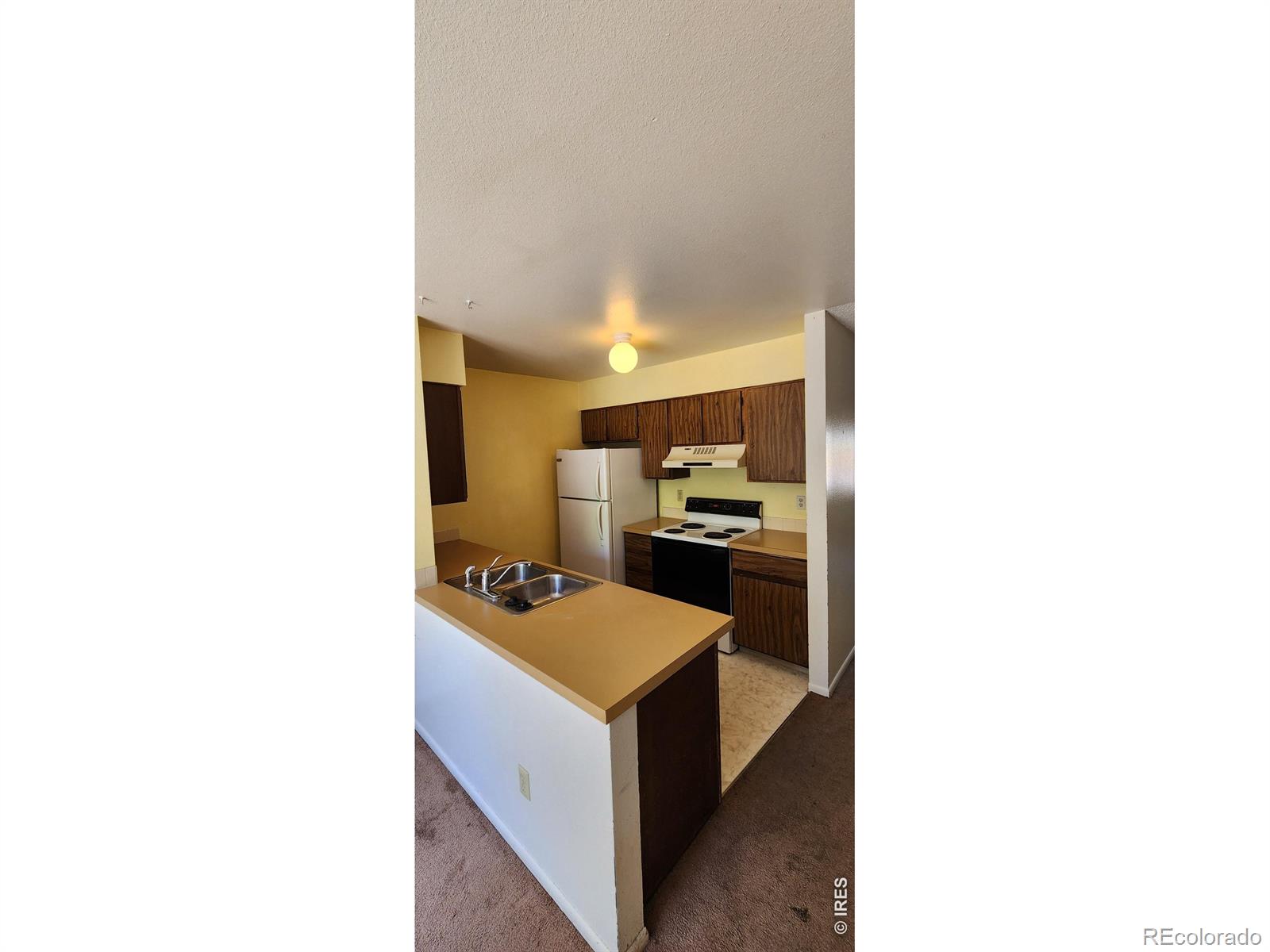 2818 Sagebrush Drive Fort Collins CO 80525