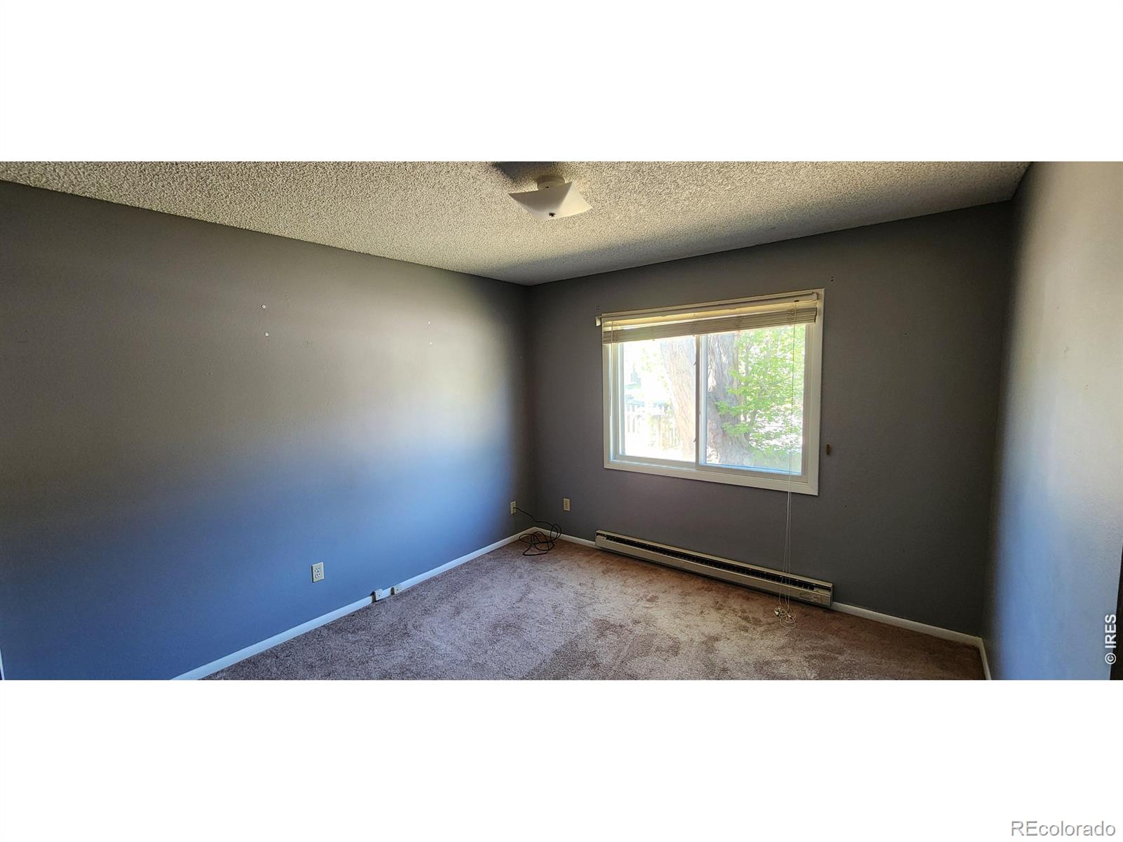2818 Sagebrush Drive Fort Collins CO 80525