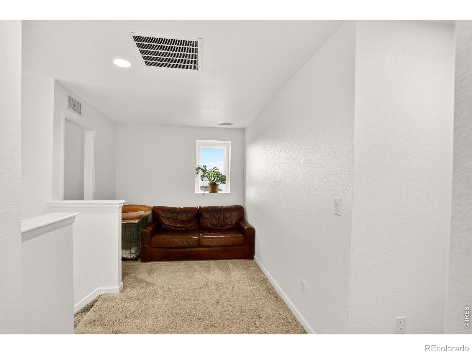 17396 Hop Clover Avenue Parker CO 80134