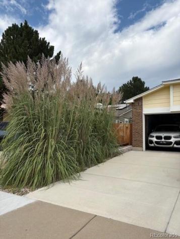 5069 W 62nd Avenue Arvada CO 80003
