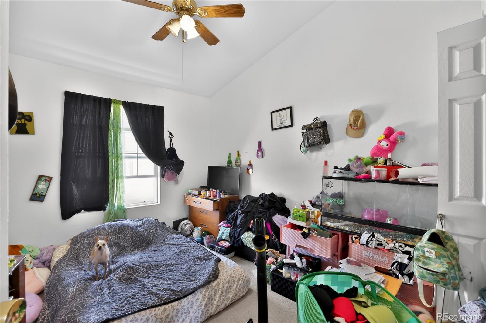 971 S Los Charros Drive Pueblo CO 81007