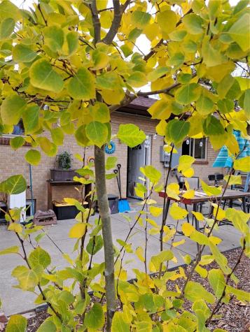 6164 Brentwood Street Arvada CO 80004