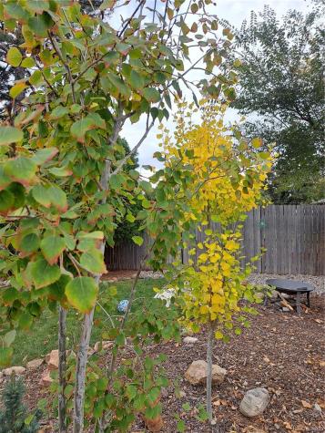 6164 Brentwood Street Arvada CO 80004