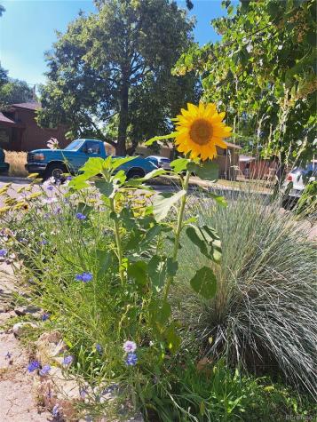 6164 Brentwood Street Arvada CO 80004