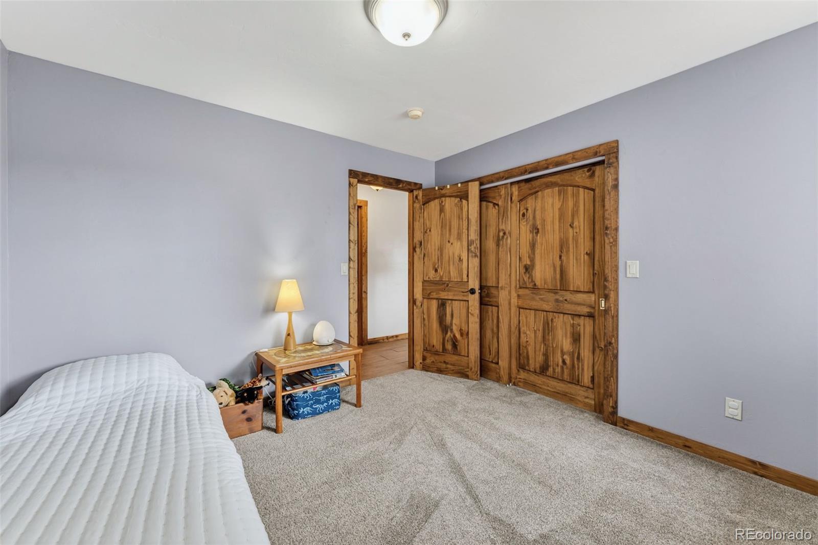 152 Windwalker Road Buena Vista CO 81211