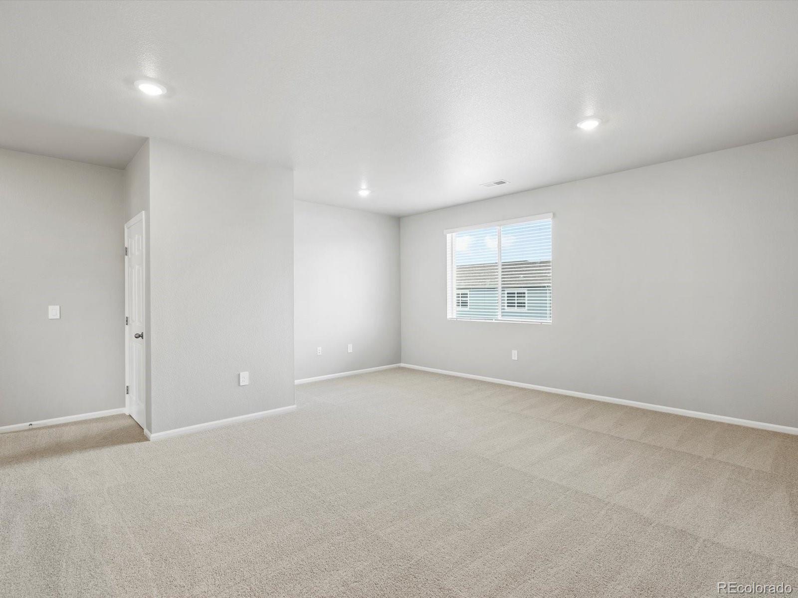 1629 Yampa River Drive Windsor CO 80550