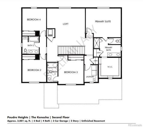 1629 Yampa River Drive Windsor CO 80550