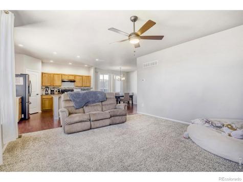 368 Littlebrook Court Windsor CO 80550