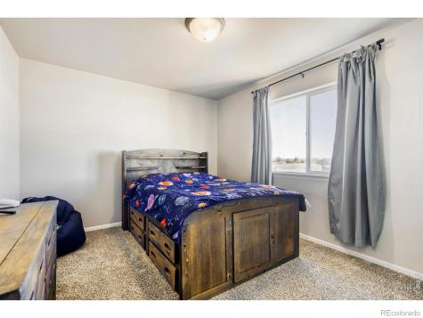 368 Littlebrook Court Windsor CO 80550