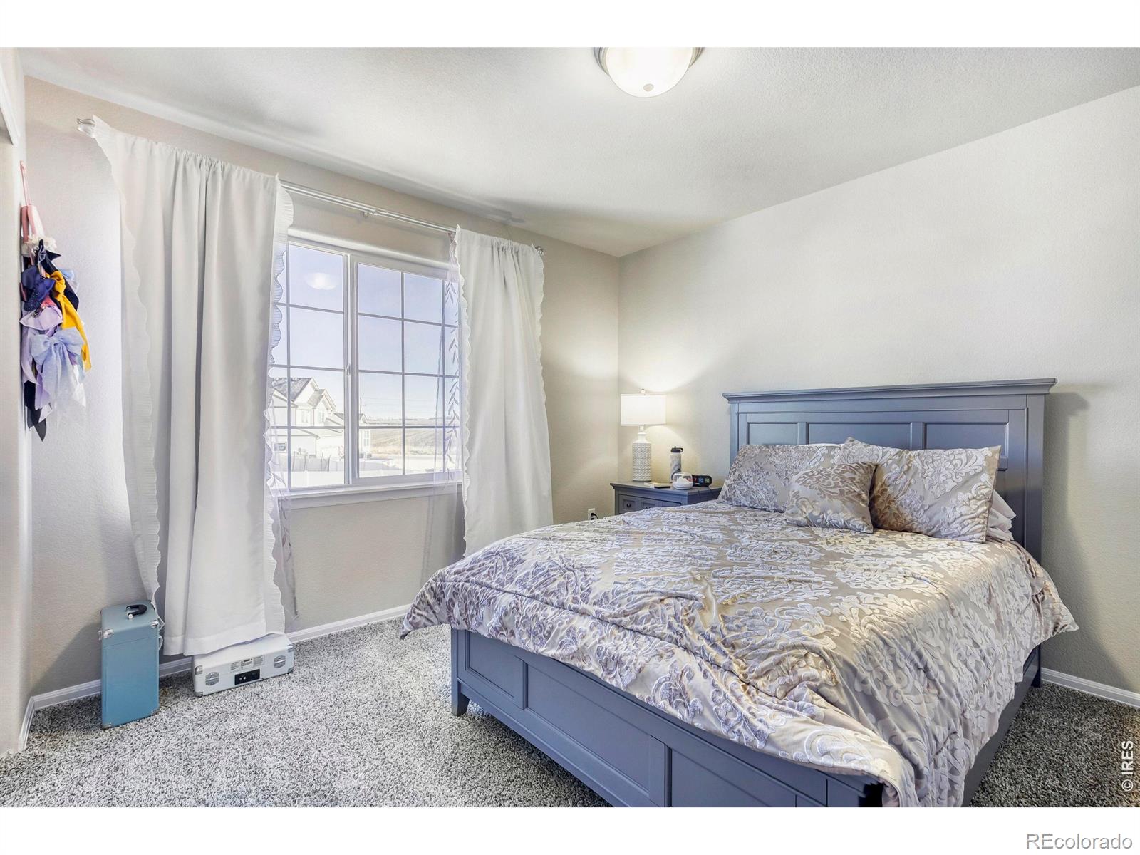 368 Littlebrook Court Windsor CO 80550