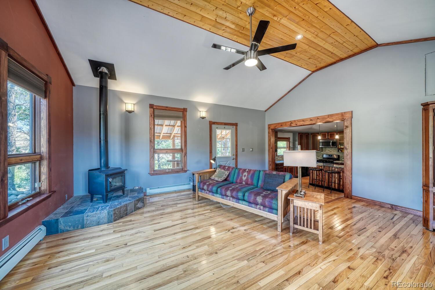 426 Leprechaun Lane Howard CO 81233