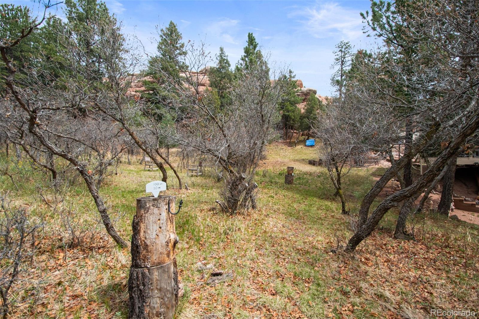 6323 Pike Circle Larkspur CO 80118