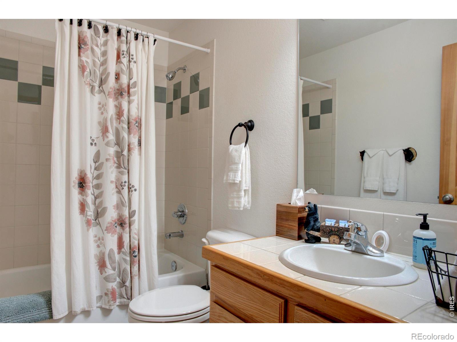 28 Valley View Lane Evergreen CO 80439