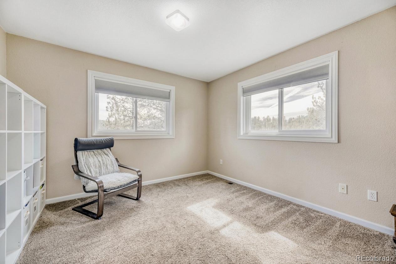 12447 S Danny Avenue Pine CO 80470