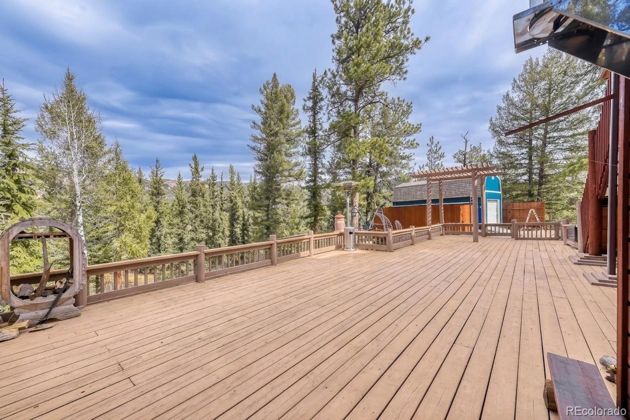 12447 S Danny Avenue Pine CO 80470