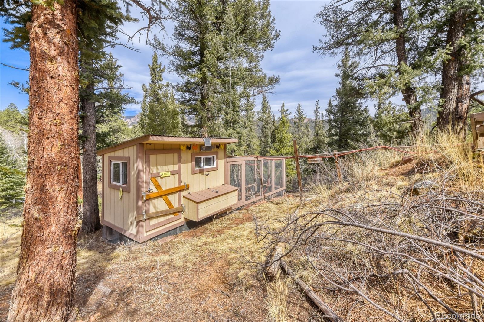 12447 S Danny Avenue Pine CO 80470