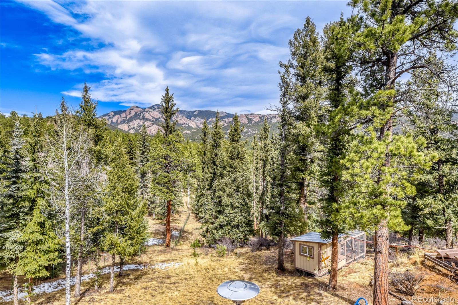 12447 S Danny Avenue Pine CO 80470