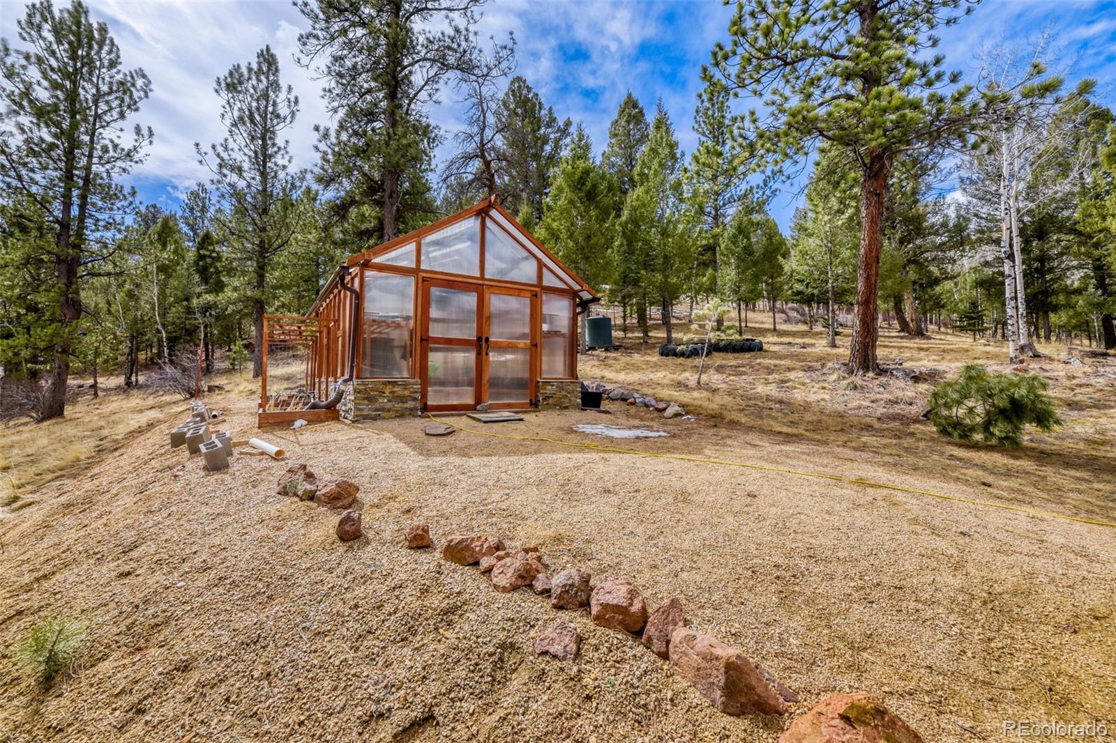 12447 S Danny Avenue Pine CO 80470