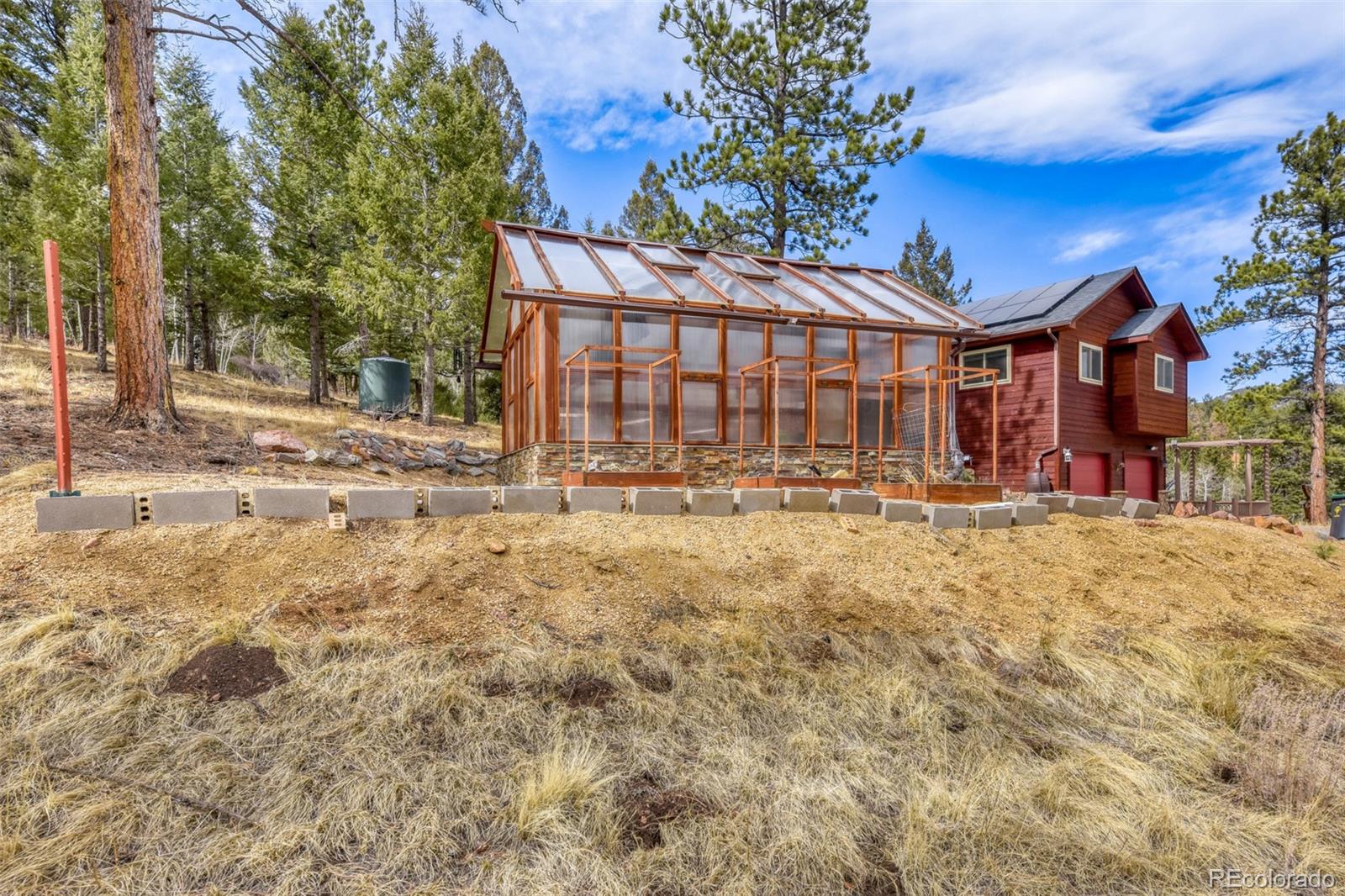 12447 S Danny Avenue Pine CO 80470