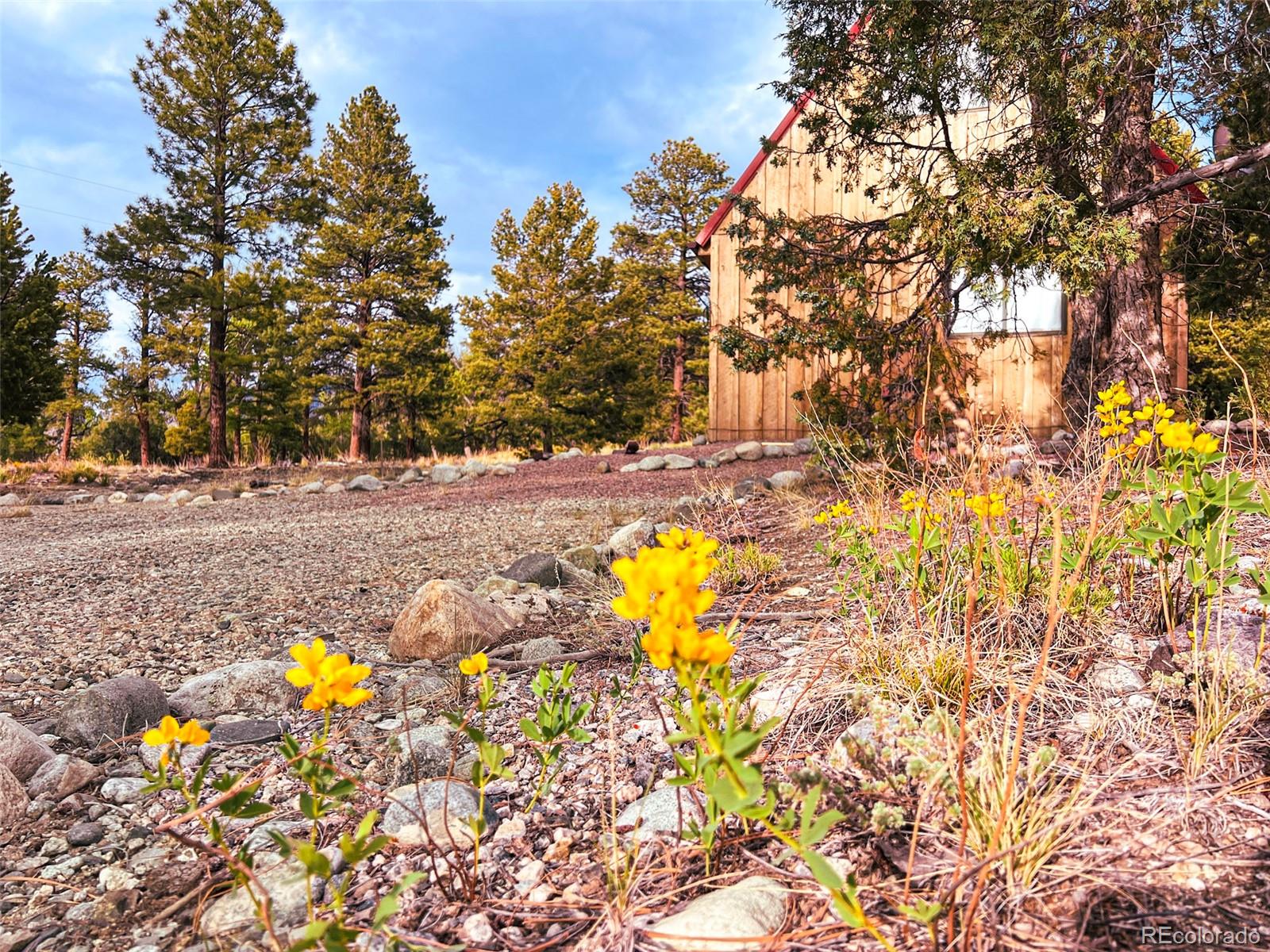 33 Big Bear Road Mosca CO 81146