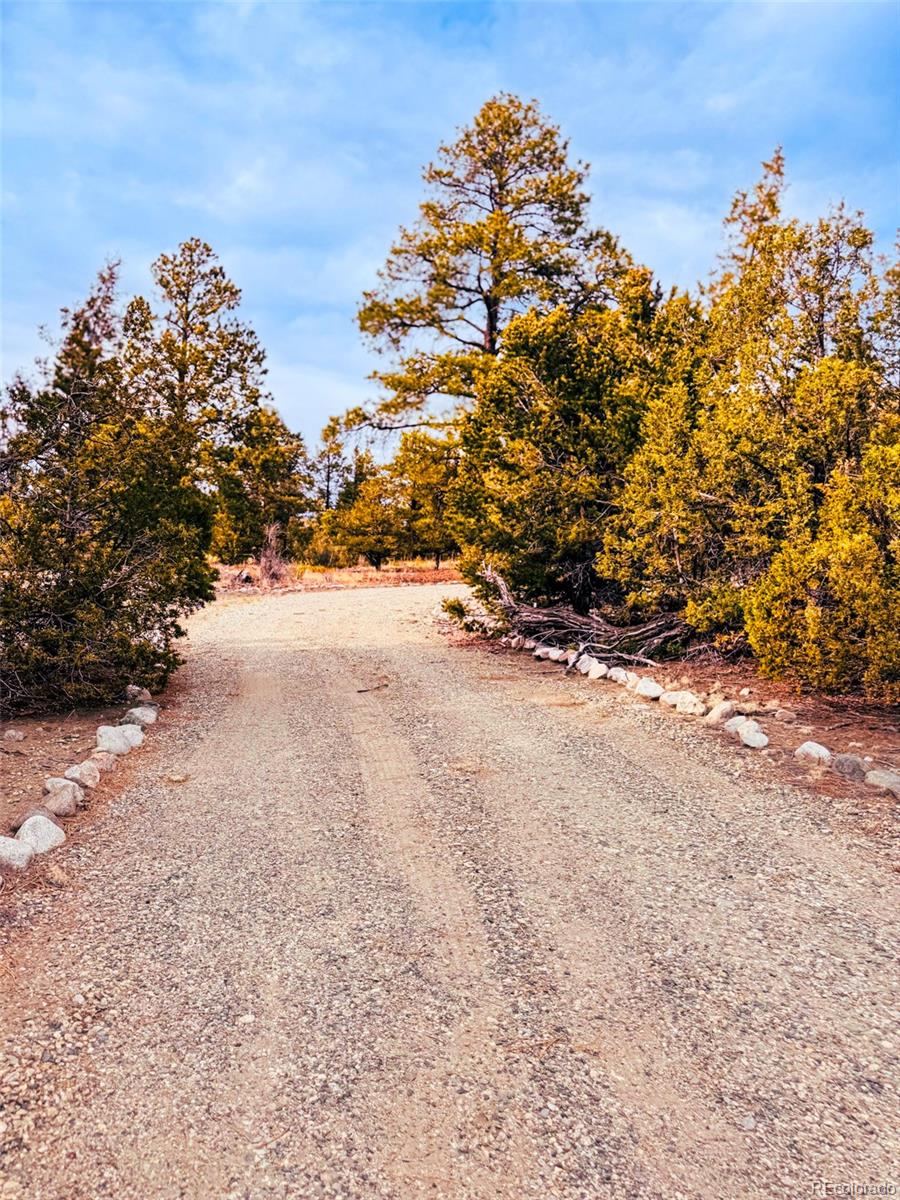 33 Big Bear Road Mosca CO 81146