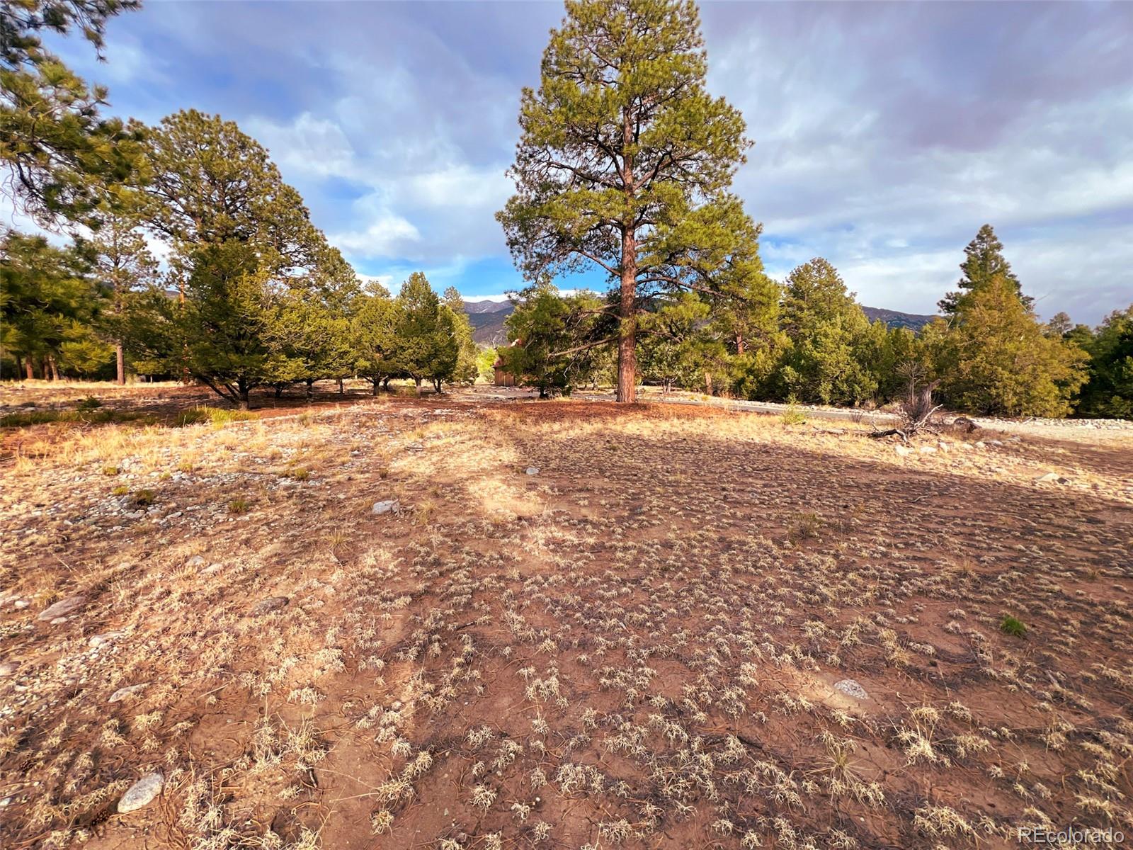 33 Big Bear Road Mosca CO 81146