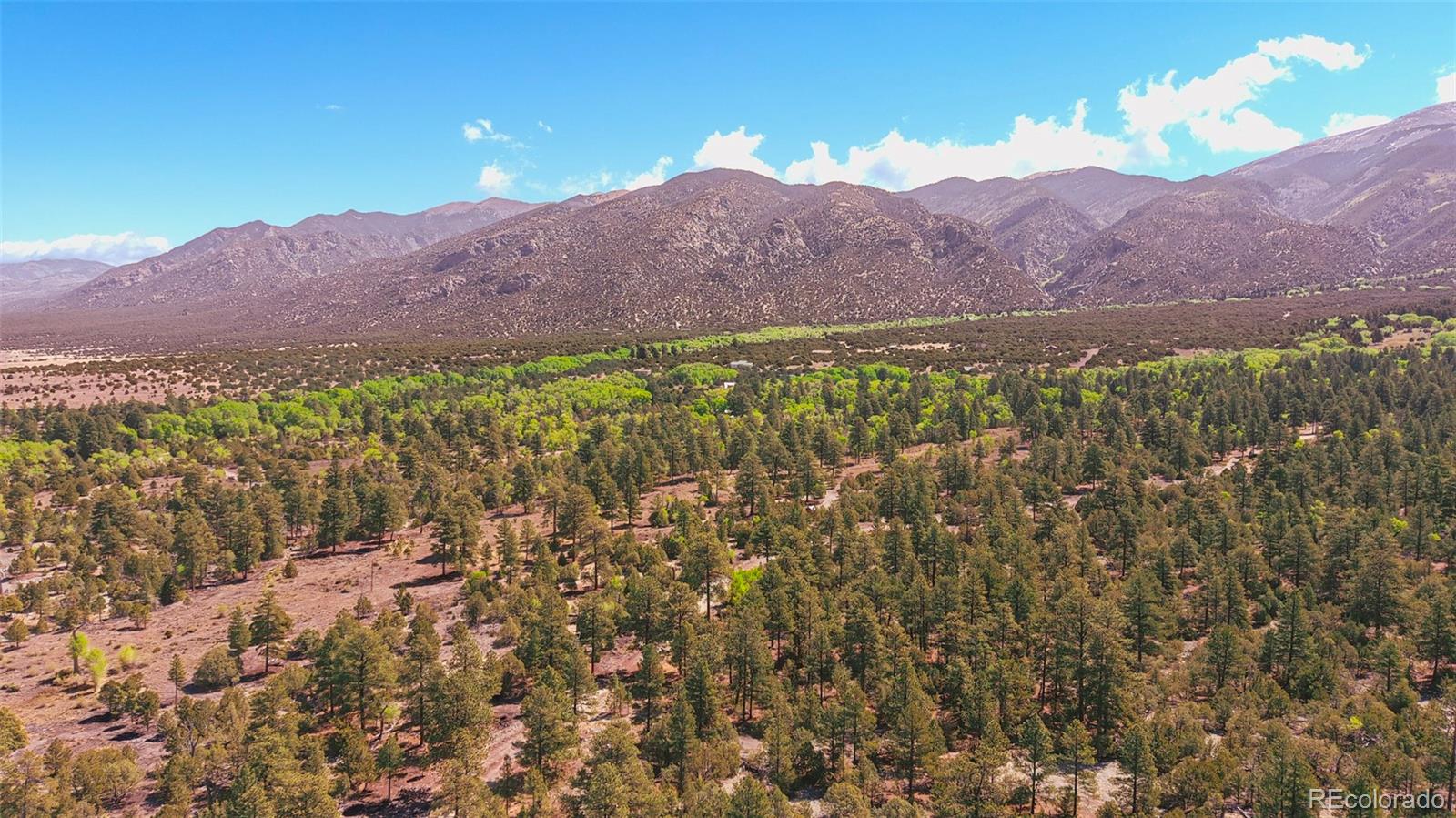 33 Big Bear Road Mosca CO 81146