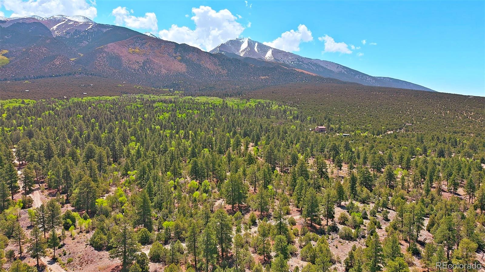 33 Big Bear Road Mosca CO 81146