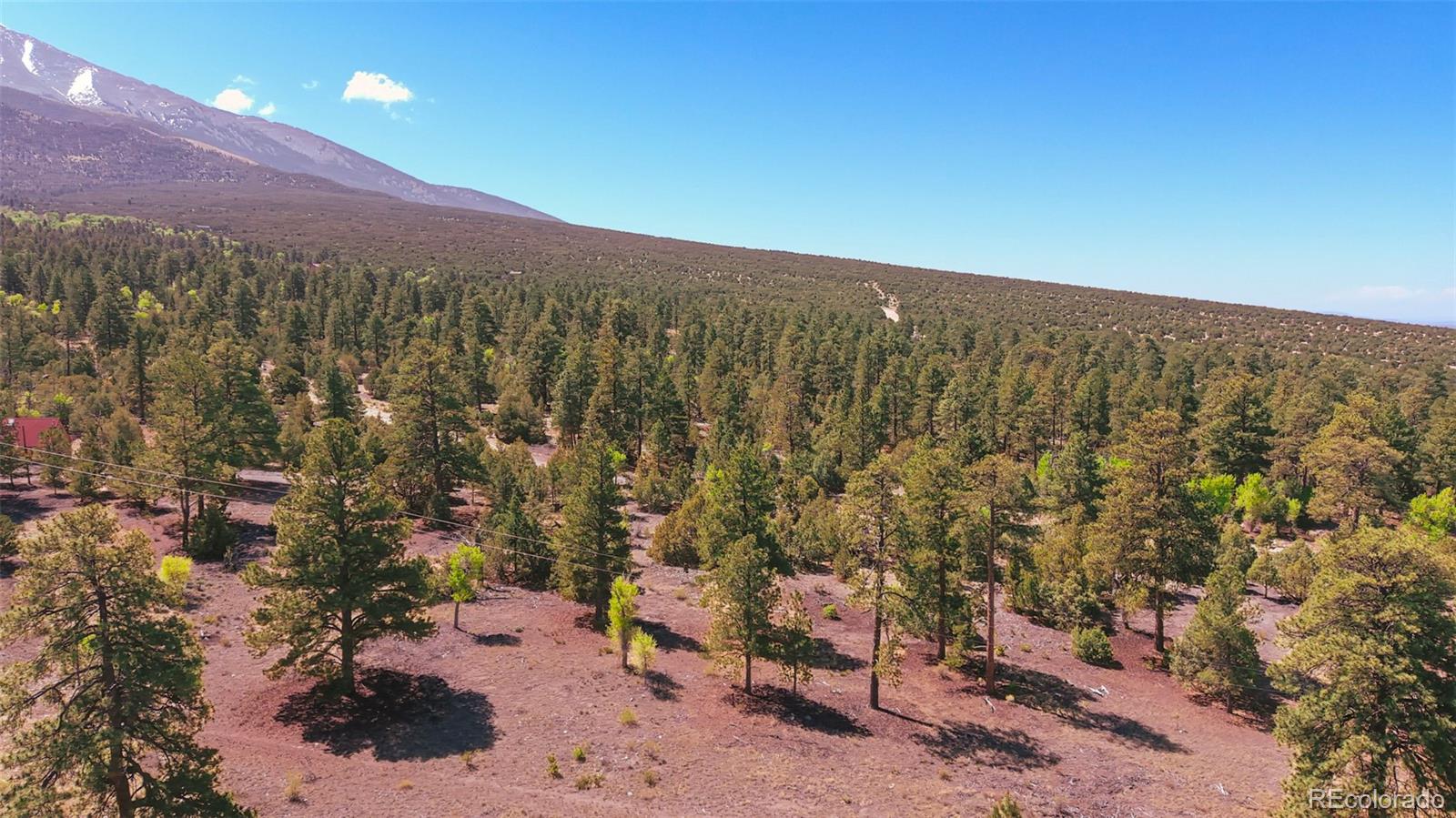 33 Big Bear Road Mosca CO 81146