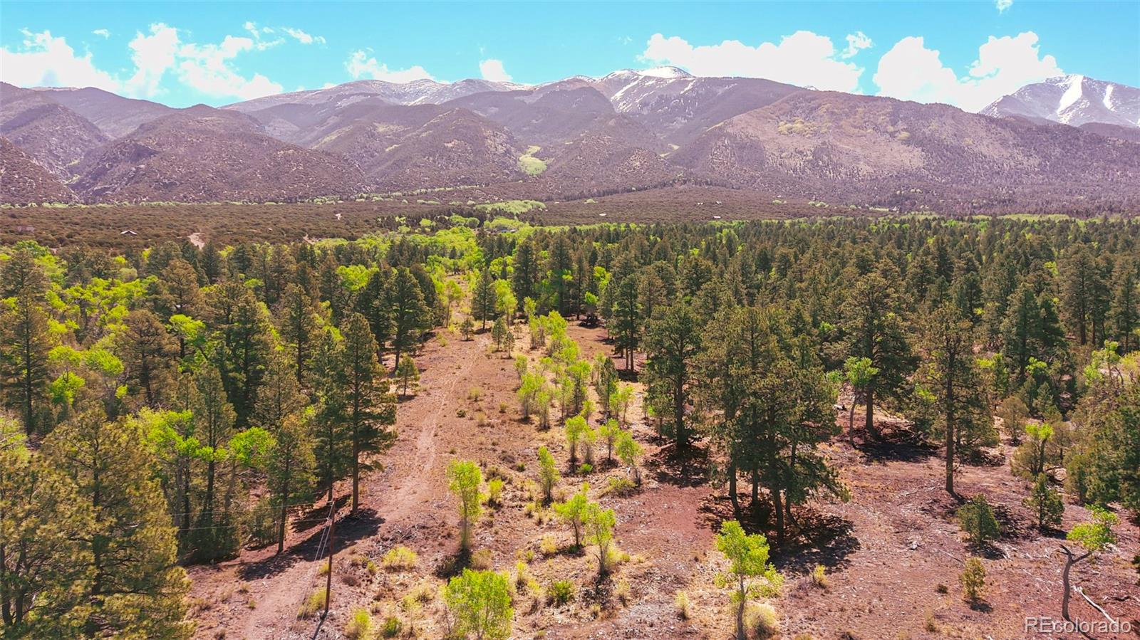 33 Big Bear Road Mosca CO 81146