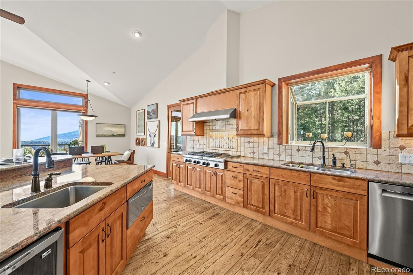 9646 Wallow Court Conifer CO 80433