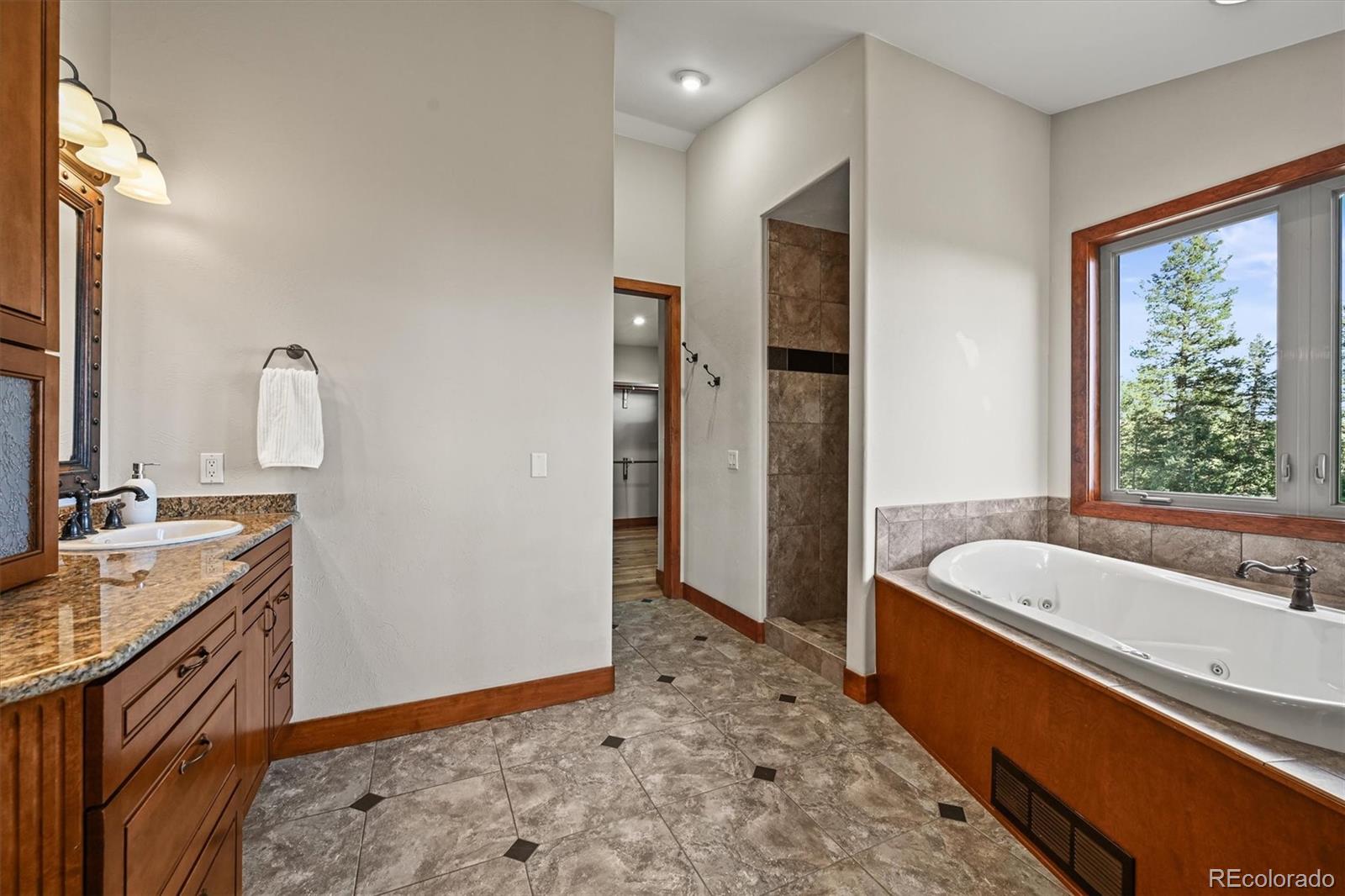 9646 Wallow Court Conifer CO 80433
