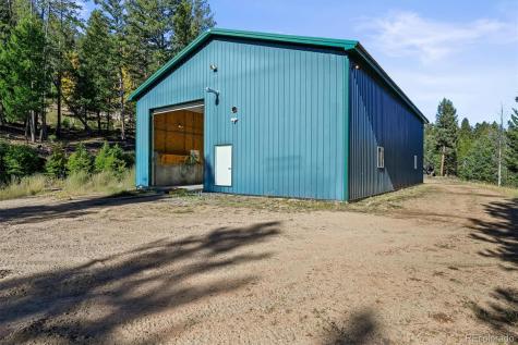 9646 Wallow Court Conifer CO 80433